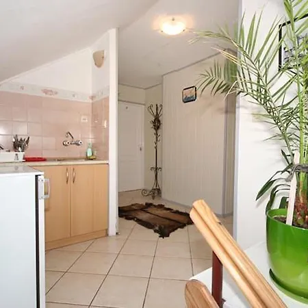 Malgorzata 2 * ウェバ